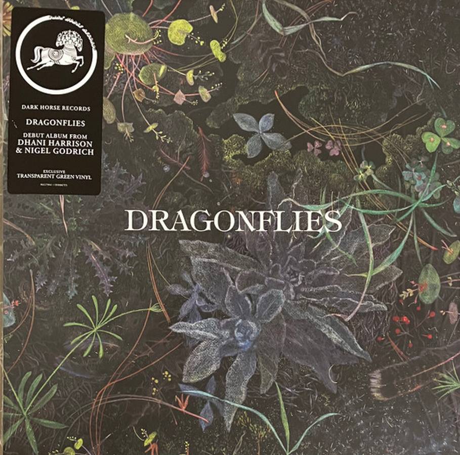 Dragonflies – Dragonflies (color)